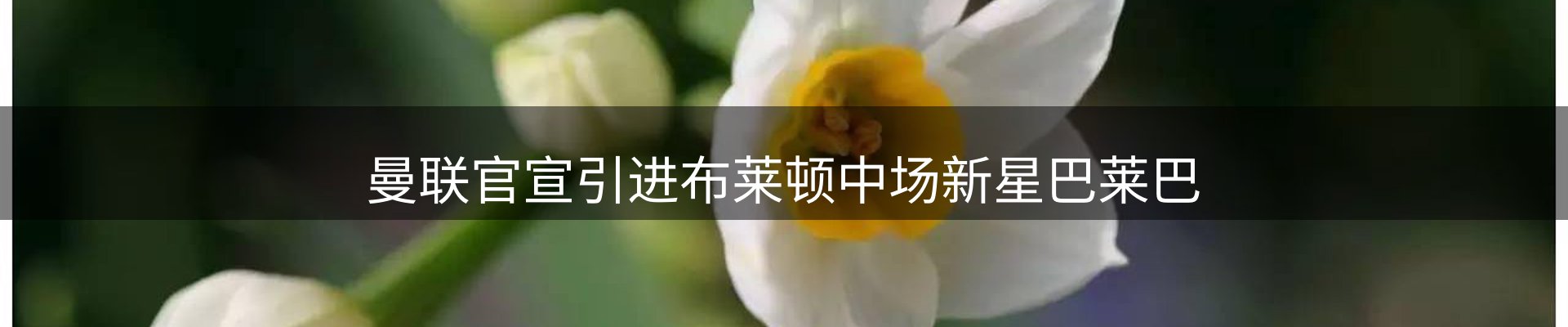 内页banner